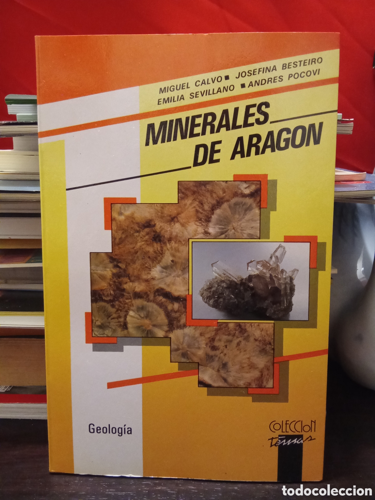 Libros de segunda mano: Minerales de Arag&oacute;n - Geolog&iacute;a - Miguel Calvo / Josefina Bestiero / Emilia Sevillano / Andr&eacute;s Pocovi