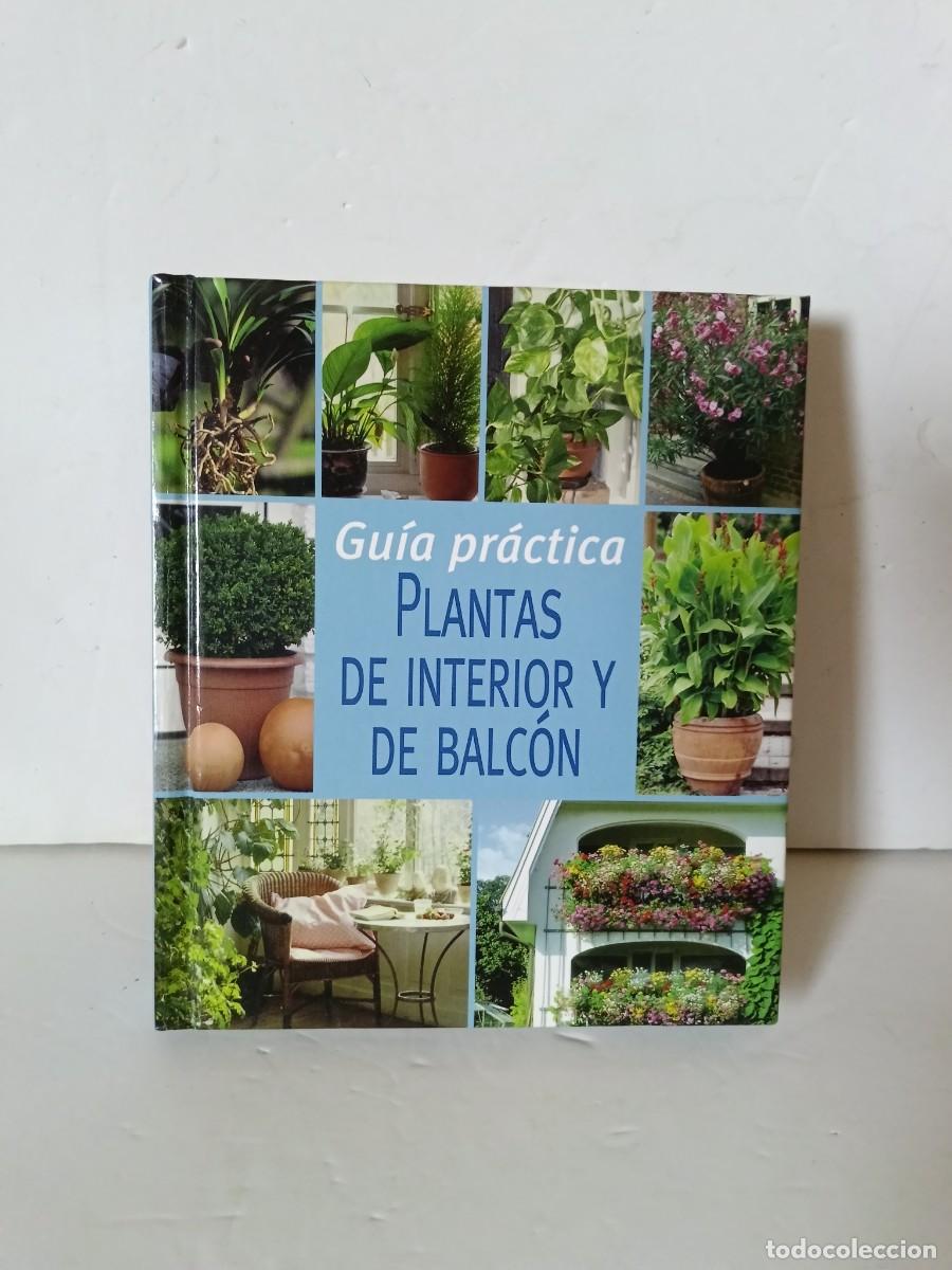 Libros de segunda mano: Plantas de interior y de balc&oacute;n