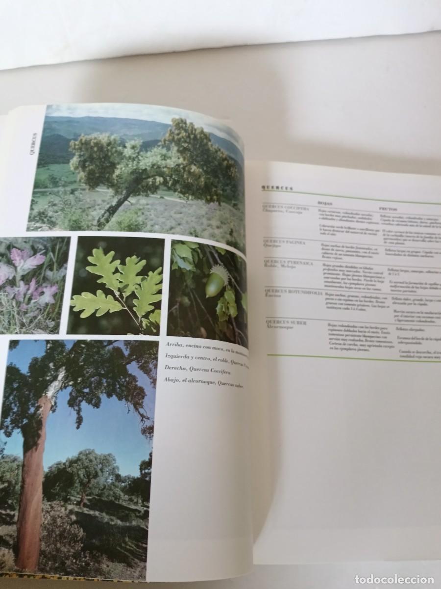 Libros de segunda mano: Flora silvestre de la Sierra Albarrana - Foto 6