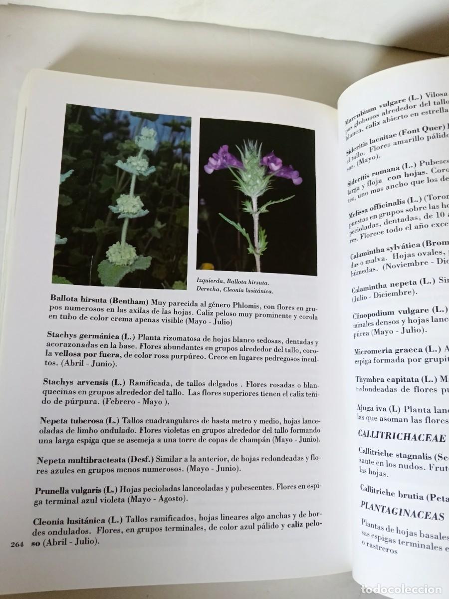 Libros de segunda mano: Flora silvestre de la Sierra Albarrana - Foto 10