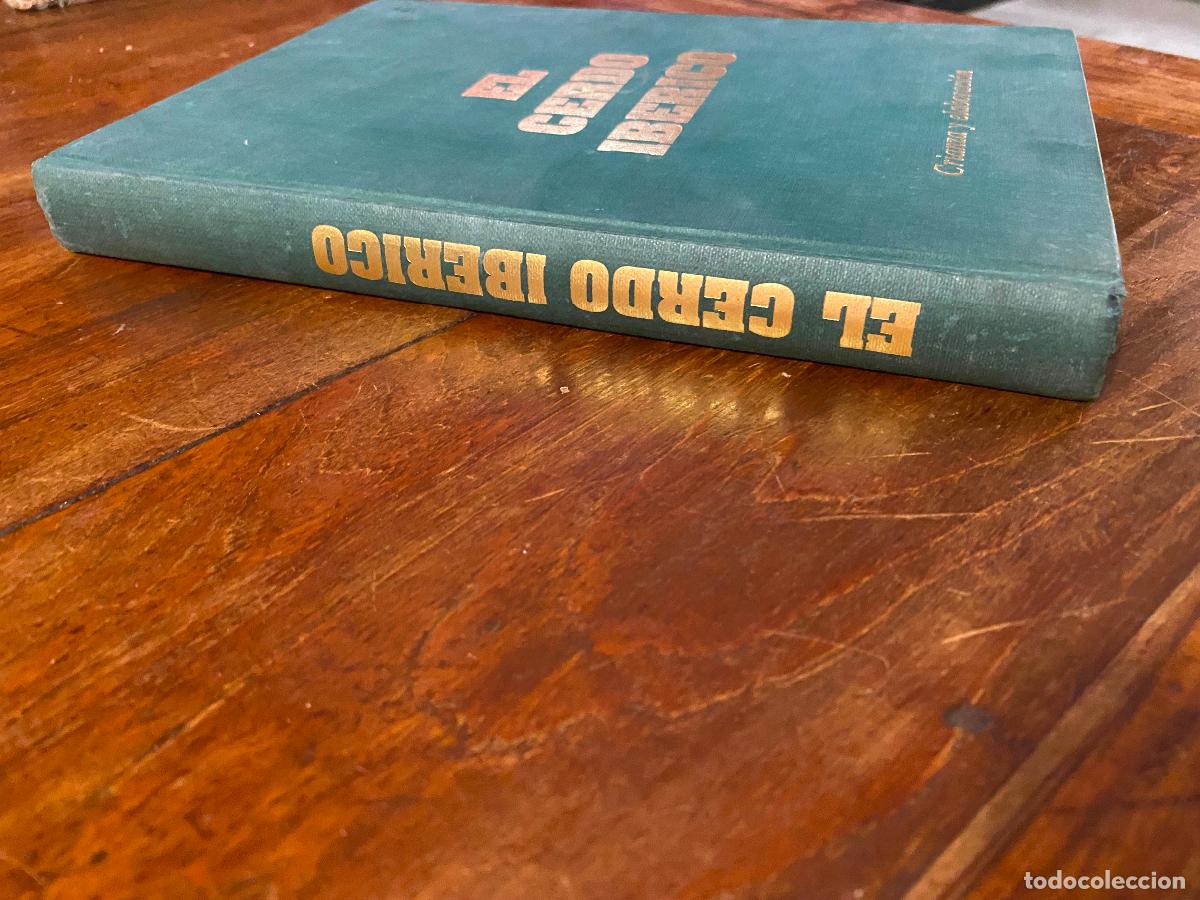 Libros de segunda mano: El cerdo ib&eacute;rico, crianza y elaboraci&oacute;n, 1998 - Foto 2
