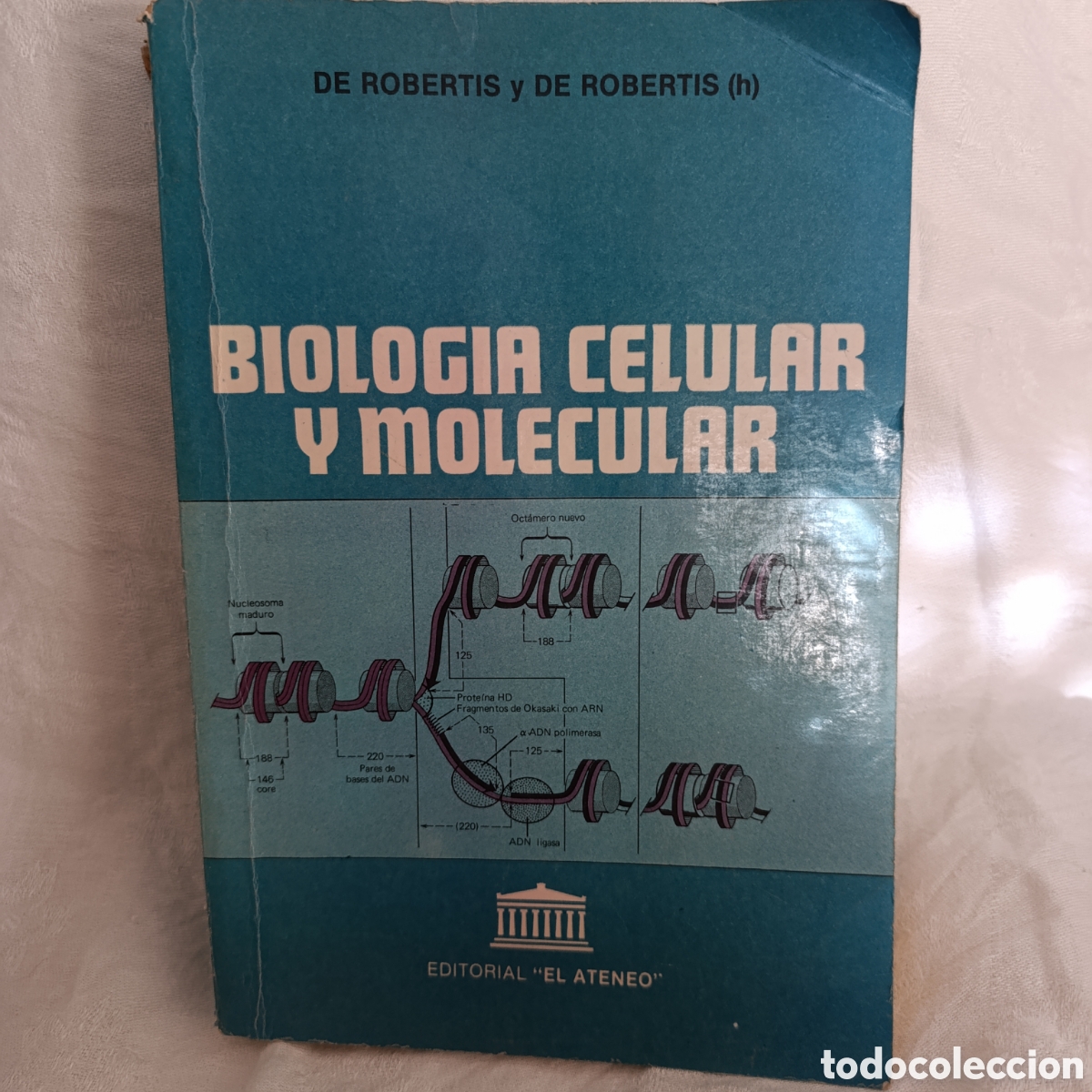 Libros de segunda mano: &rdquo;Biolog&iacute;a Celular y Molecular&rdquo; escrito por Eduardo D.P. De Robertis y Eduardo M.F. De Robertis.