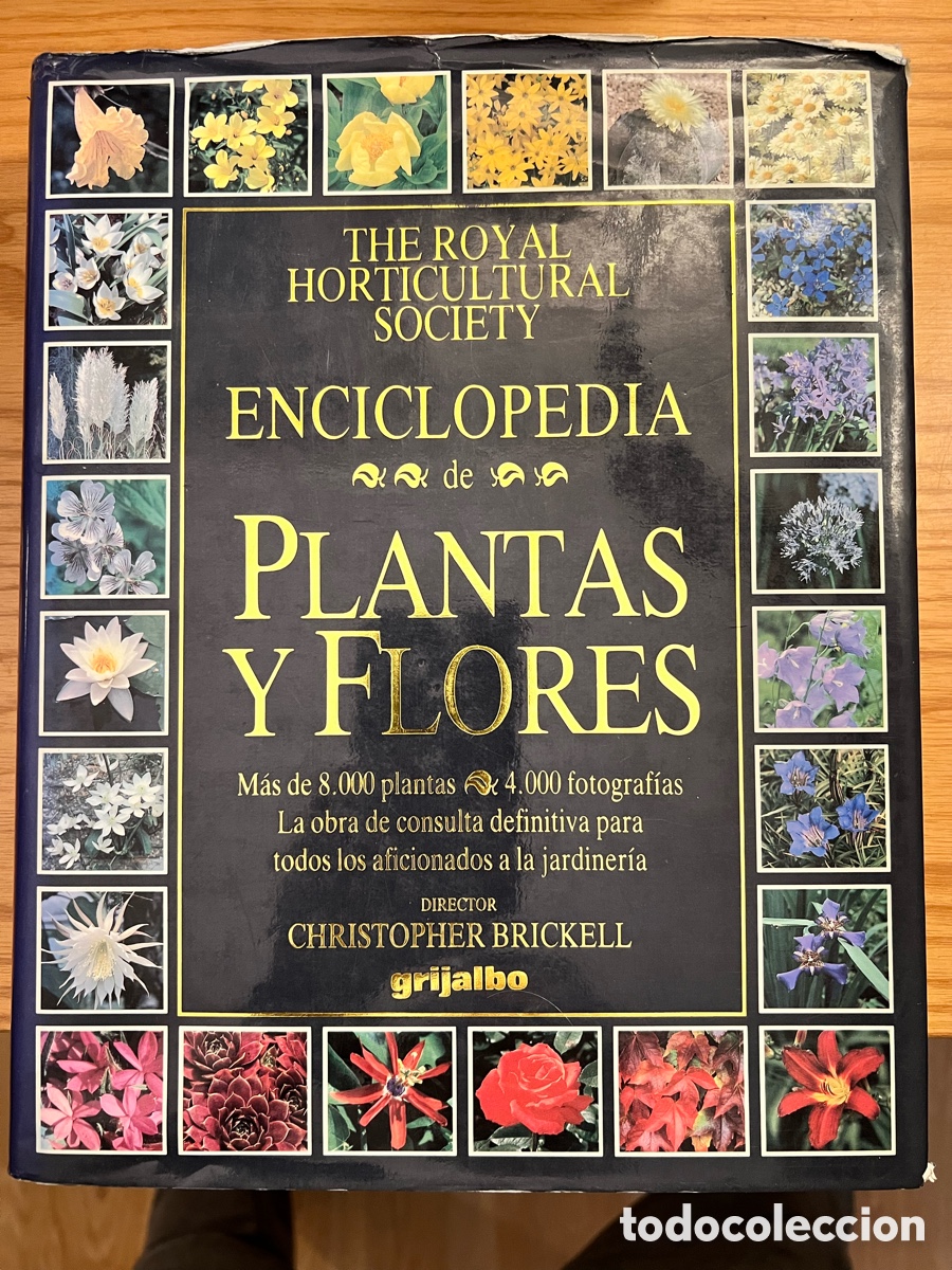 Libros de segunda mano: Enciclopedia de plantas y flores
