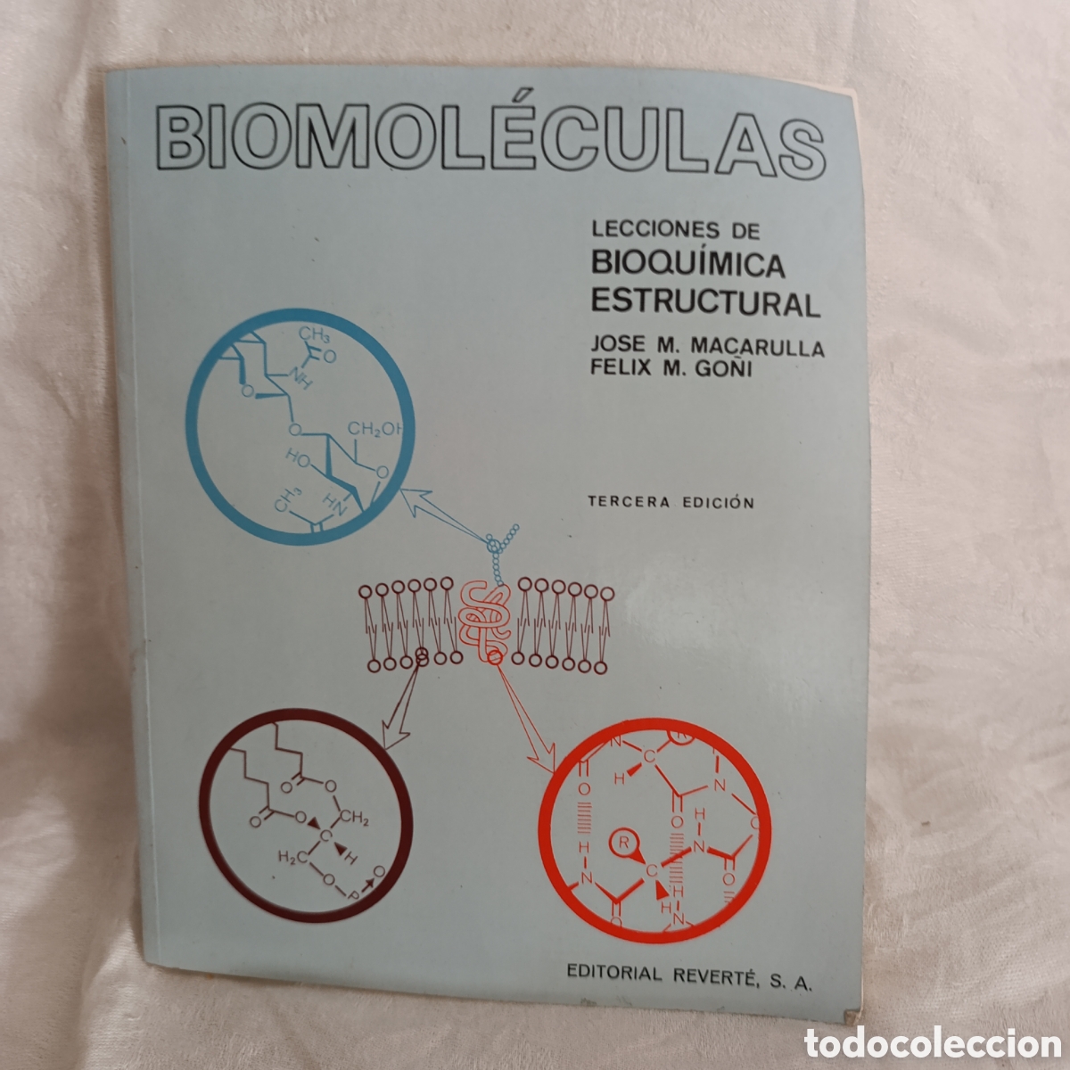 Libros de segunda mano: Libro t&eacute;cnico Biomol&eacute;culas: Lecciones de Bioqu&iacute;mica Estructural.