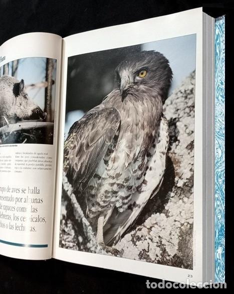 Libros de segunda mano: F3510 - GUIA DE LA FLORA Y FAUNA DE GALICIA. - Foto 2