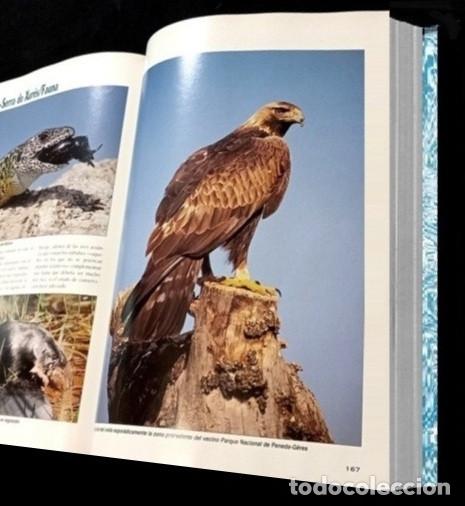 Libros de segunda mano: F3510 - GUIA DE LA FLORA Y FAUNA DE GALICIA. - Foto 3