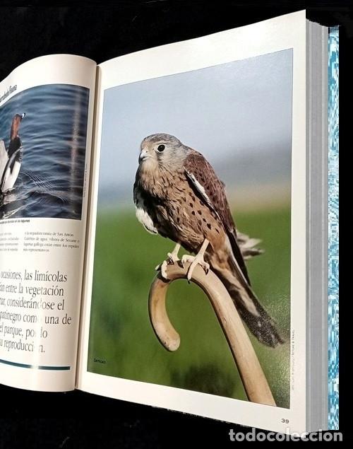 Libros de segunda mano: F3510 - GUIA DE LA FLORA Y FAUNA DE GALICIA. - Foto 4