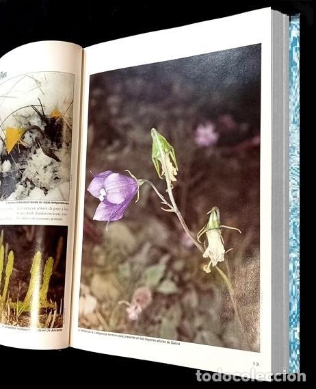Libros de segunda mano: F3510 - GUIA DE LA FLORA Y FAUNA DE GALICIA. - Foto 5