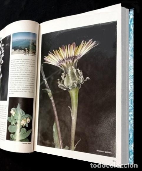 Libros de segunda mano: F3510 - GUIA DE LA FLORA Y FAUNA DE GALICIA. - Foto 6