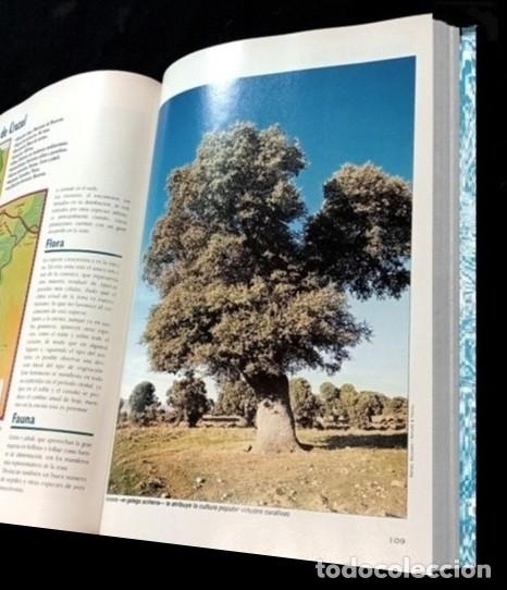 Libros de segunda mano: F3510 - GUIA DE LA FLORA Y FAUNA DE GALICIA. - Foto 7