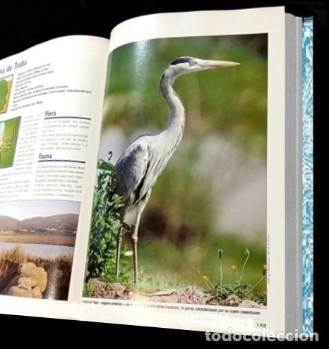 Libros de segunda mano: F3510 - GUIA DE LA FLORA Y FAUNA DE GALICIA. - Foto 9