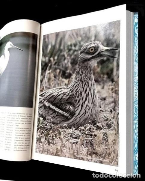 Libros de segunda mano: F3510 - GUIA DE LA FLORA Y FAUNA DE GALICIA. - Foto 10