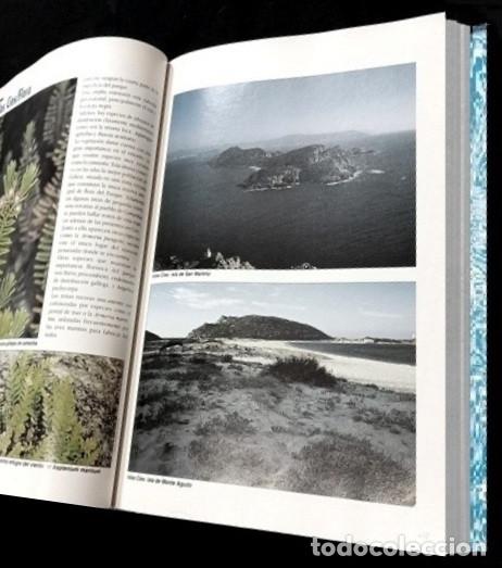 Libros de segunda mano: F3510 - GUIA DE LA FLORA Y FAUNA DE GALICIA. - Foto 12