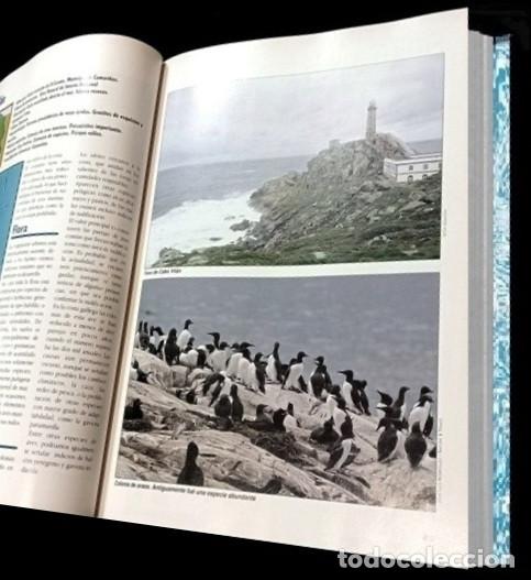 Libros de segunda mano: F3510 - GUIA DE LA FLORA Y FAUNA DE GALICIA. - Foto 15