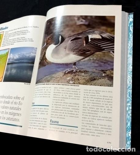 Libros de segunda mano: F3510 - GUIA DE LA FLORA Y FAUNA DE GALICIA. - Foto 16