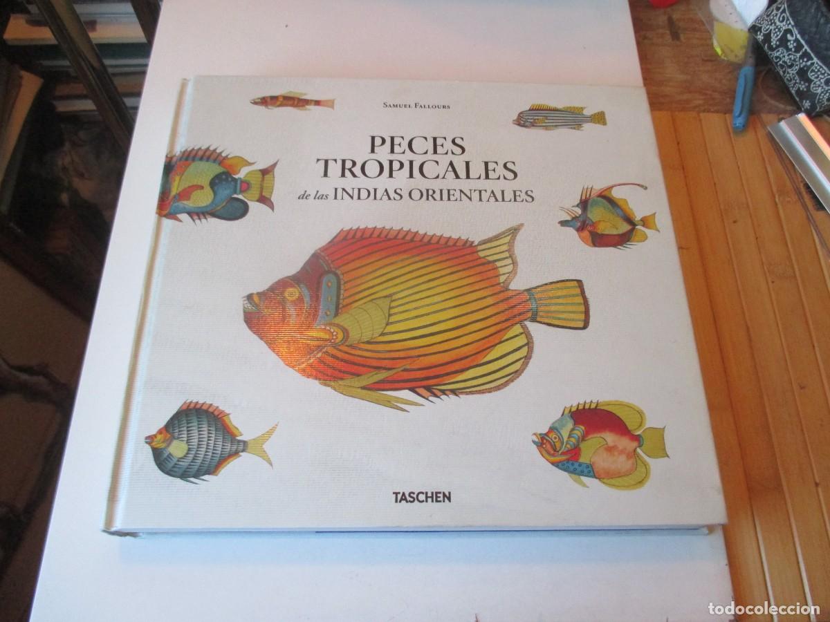 Libros de segunda mano: SAMUEL FALLOURS Peces tropicales de las Indias orientales W41139