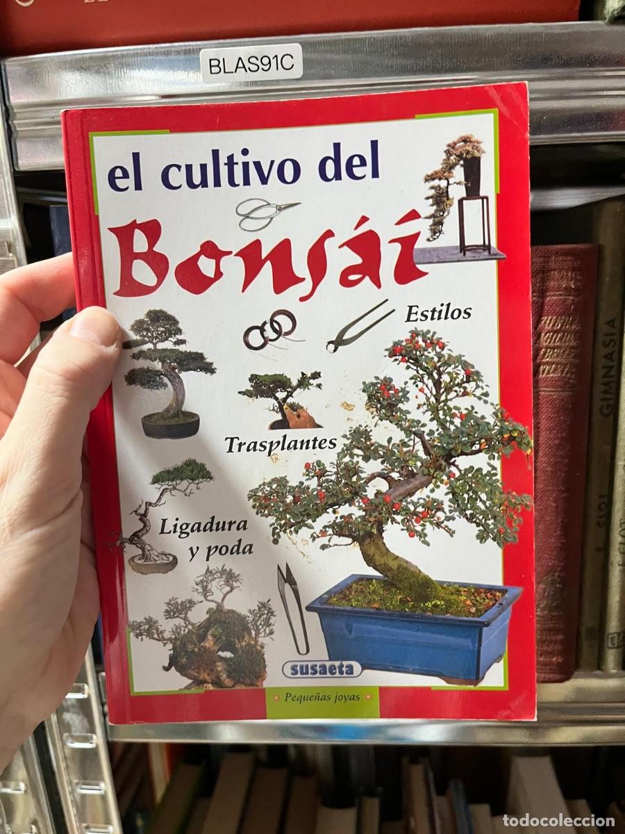 Libros de segunda mano: BLAS91C El cultivo del bons&aacute;i, Susaeta.
