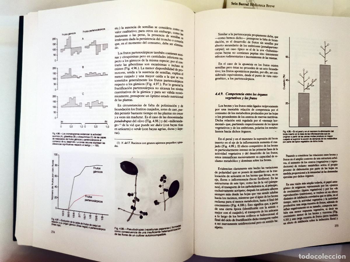Libros de segunda mano: Arboricultura general. Enrico Baldini - Foto 2