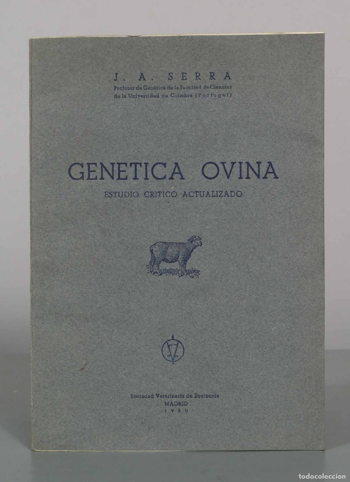 Libros de segunda mano: Gen&eacute;tica ovina. Estudio cr&iacute;tico actualizado - J. A. Serra - Sociedad Veterinaria de Zootecnia