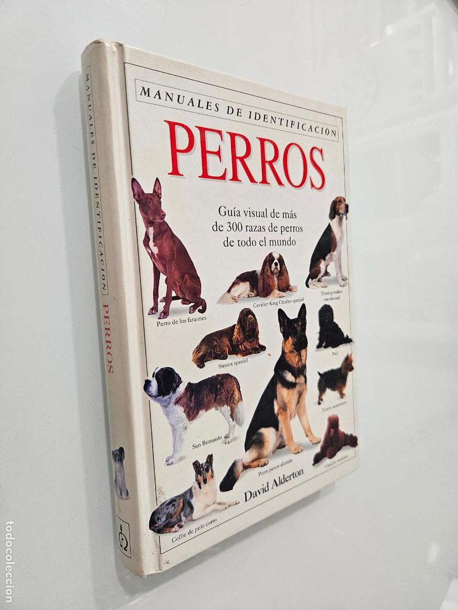 Libros de segunda mano: Perros: gu&iacute;a visual de m&aacute;s de 300 razas de perros de todo el mundo | Alderton | Ediciones Omega