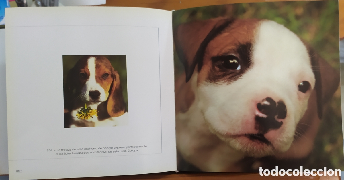 Libros de segunda mano: Cube Book - Libro Cachorros - Foto 6