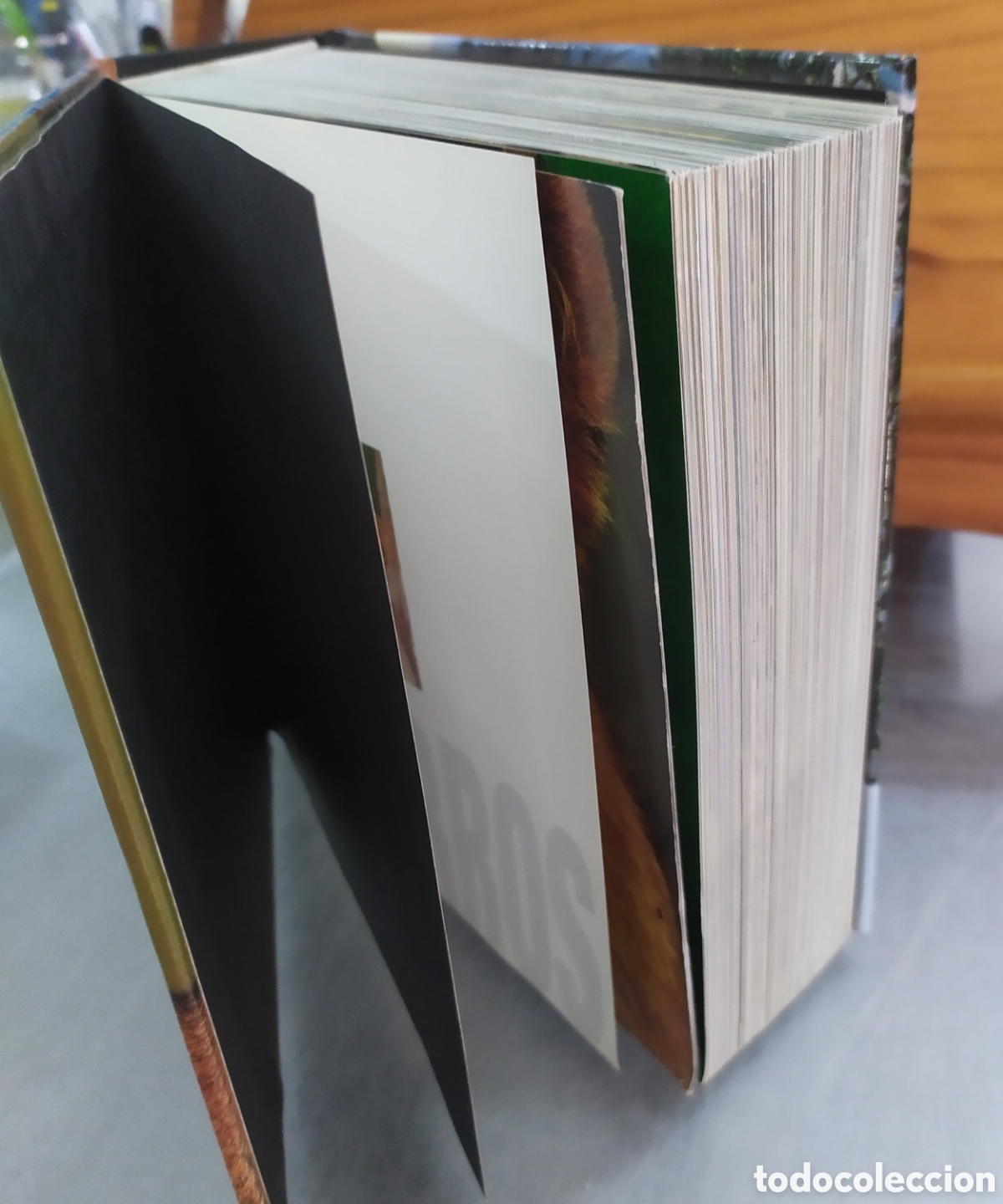 Libros de segunda mano: Cube Book - Libro Cachorros - Foto 9