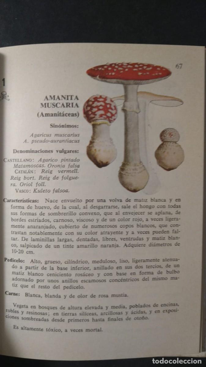 Libros de segunda mano: GU&Iacute;A PR&Aacute;CTICA DEL BUSCADOR DE SETAS - B. JUSCAFRESCA - Foto 4