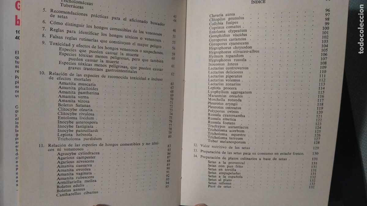 Libros de segunda mano: GU&Iacute;A PR&Aacute;CTICA DEL BUSCADOR DE SETAS - B. JUSCAFRESCA - Foto 6