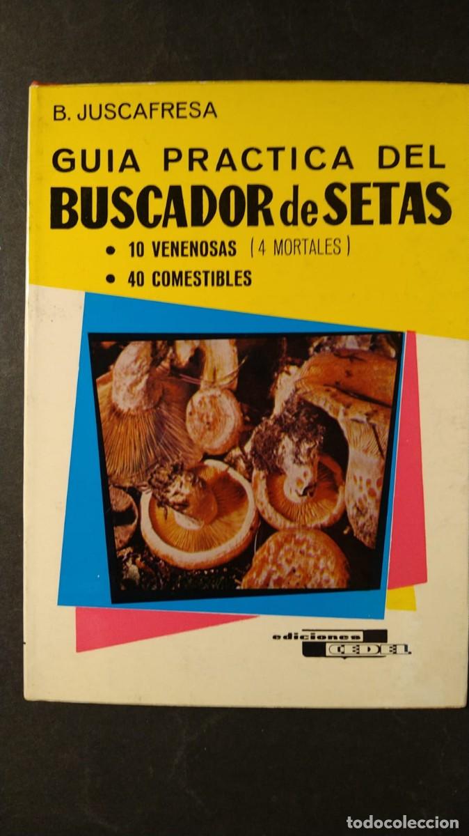 Libros de segunda mano: GU&Iacute;A PR&Aacute;CTICA DEL BUSCADOR DE SETAS - B. JUSCAFRESCA