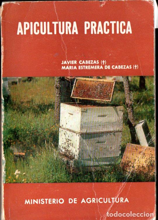 Libros de segunda mano: CABEZAS : APICULTURA PR&Aacute;CTICA (MINISTERIO AGRICULTURA, 1971)