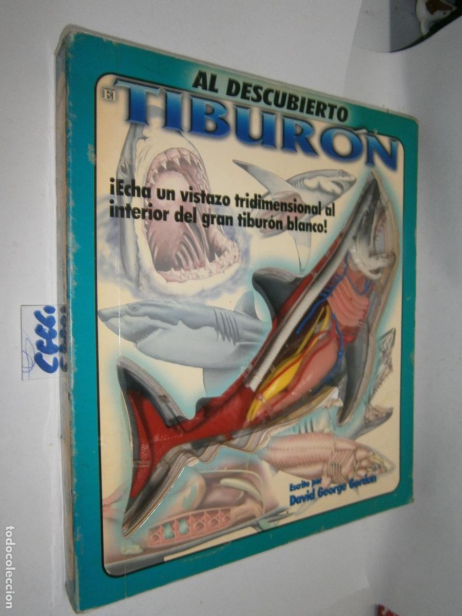 Libros de segunda mano: AL DESCUBIERTO DEL TIBURON - ESPECTACULAR ANATOMIA GENERAL DE UN TIBURON POR PARTES Y PIEZAS FISICAS