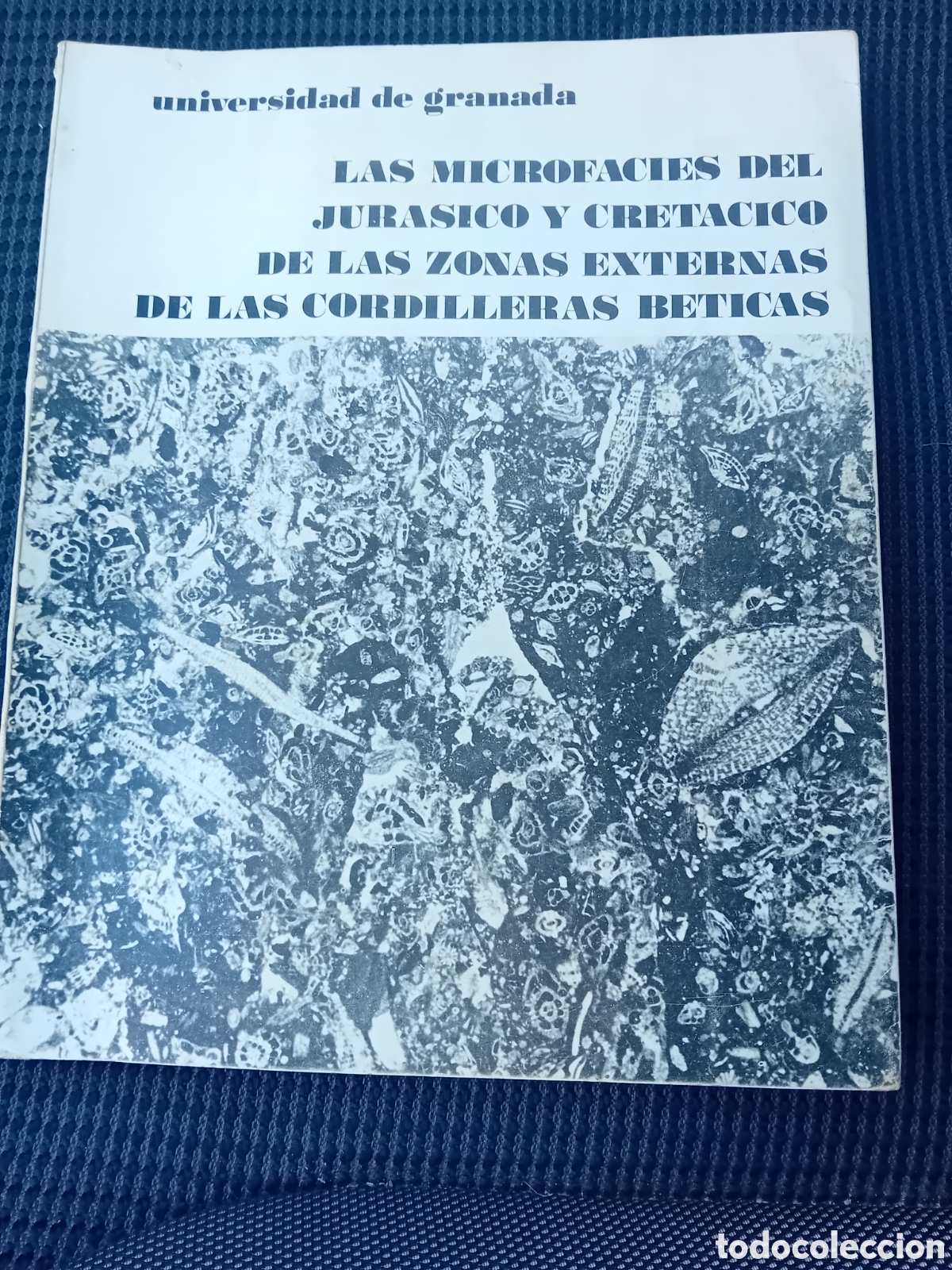 Libros de segunda mano: LIBRO LAS MICROFACIES DEL JURASICO Y CRETACICO UNIVERSIDAD DE GRANADA 1979