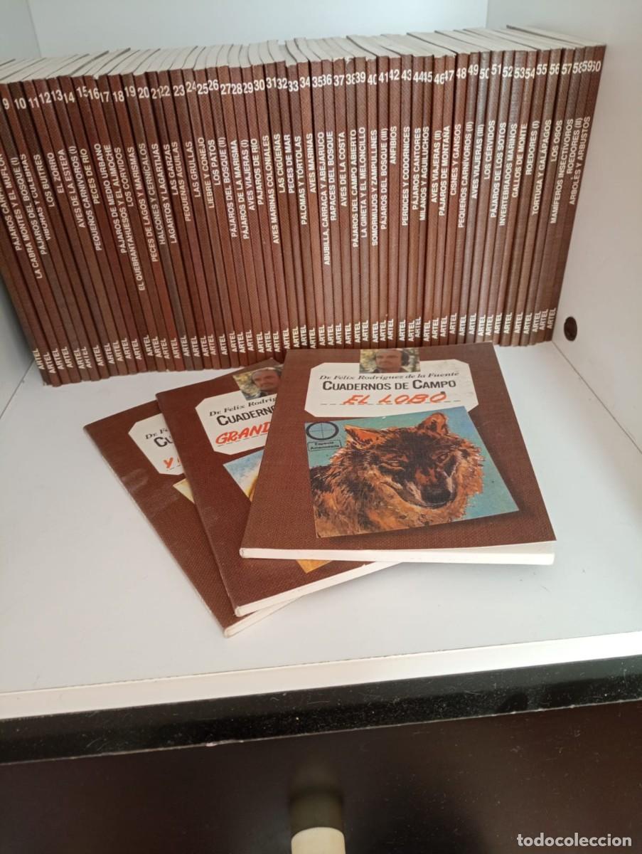 Gebrauchte B&uuml;cher: Cuadernos de campo de F&eacute;lix Rodr&iacute;guez de la Fuente (Artel)