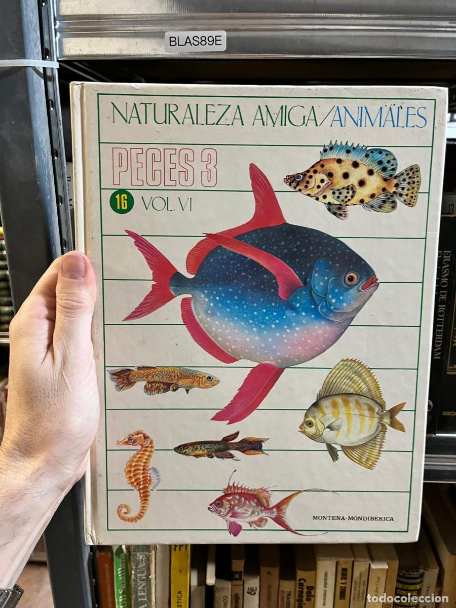 Livres d'occasion: BLAS89E &ndash; Naturaleza amiga / Animales. Peces 3. Vol. VI &ndash; Montena-Mondib&eacute;rica.