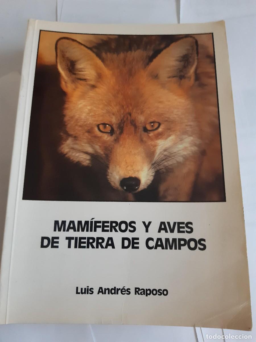 Libros de segunda mano: Mam&iacute;feros y aves de Tierra de Campos: con fotograf&iacute;as originales del autor.- Andr&eacute;s Raposo, Luis