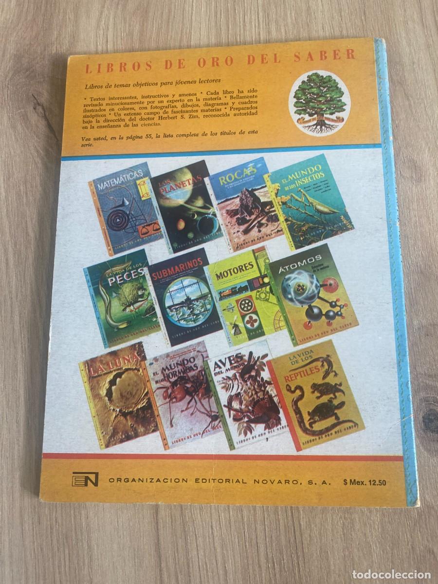 Libros de segunda mano: La vida de los peces George S. Fichter - Foto 2