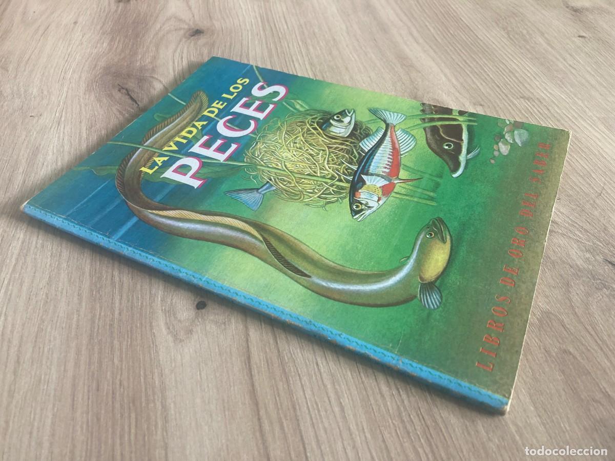 Libros de segunda mano: La vida de los peces George S. Fichter - Foto 3