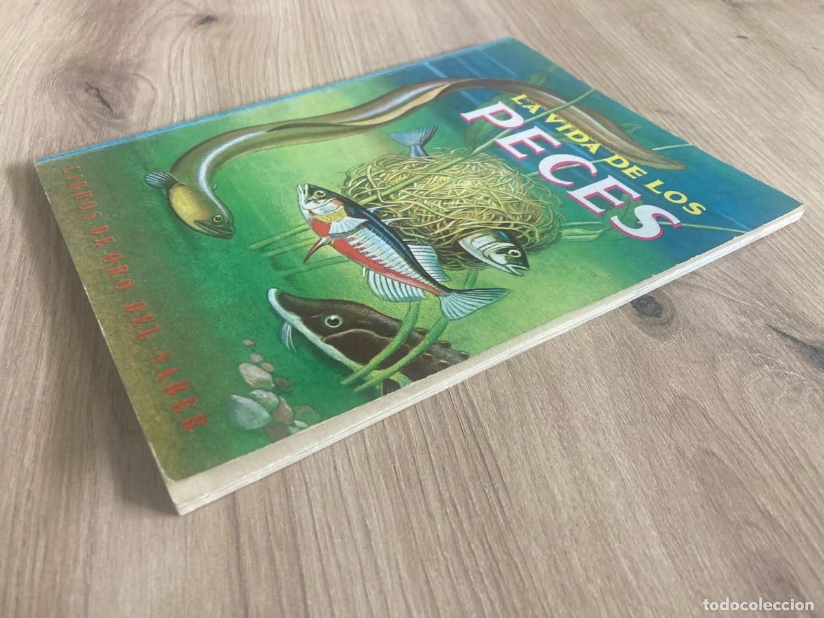 Libros de segunda mano: La vida de los peces George S. Fichter - Foto 4