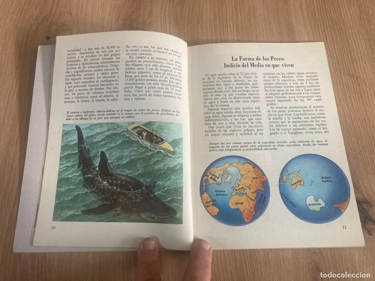 Libros de segunda mano: La vida de los peces George S. Fichter - Foto 5