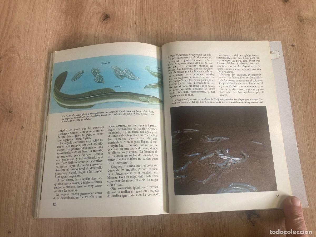 Libros de segunda mano: La vida de los peces George S. Fichter - Foto 6