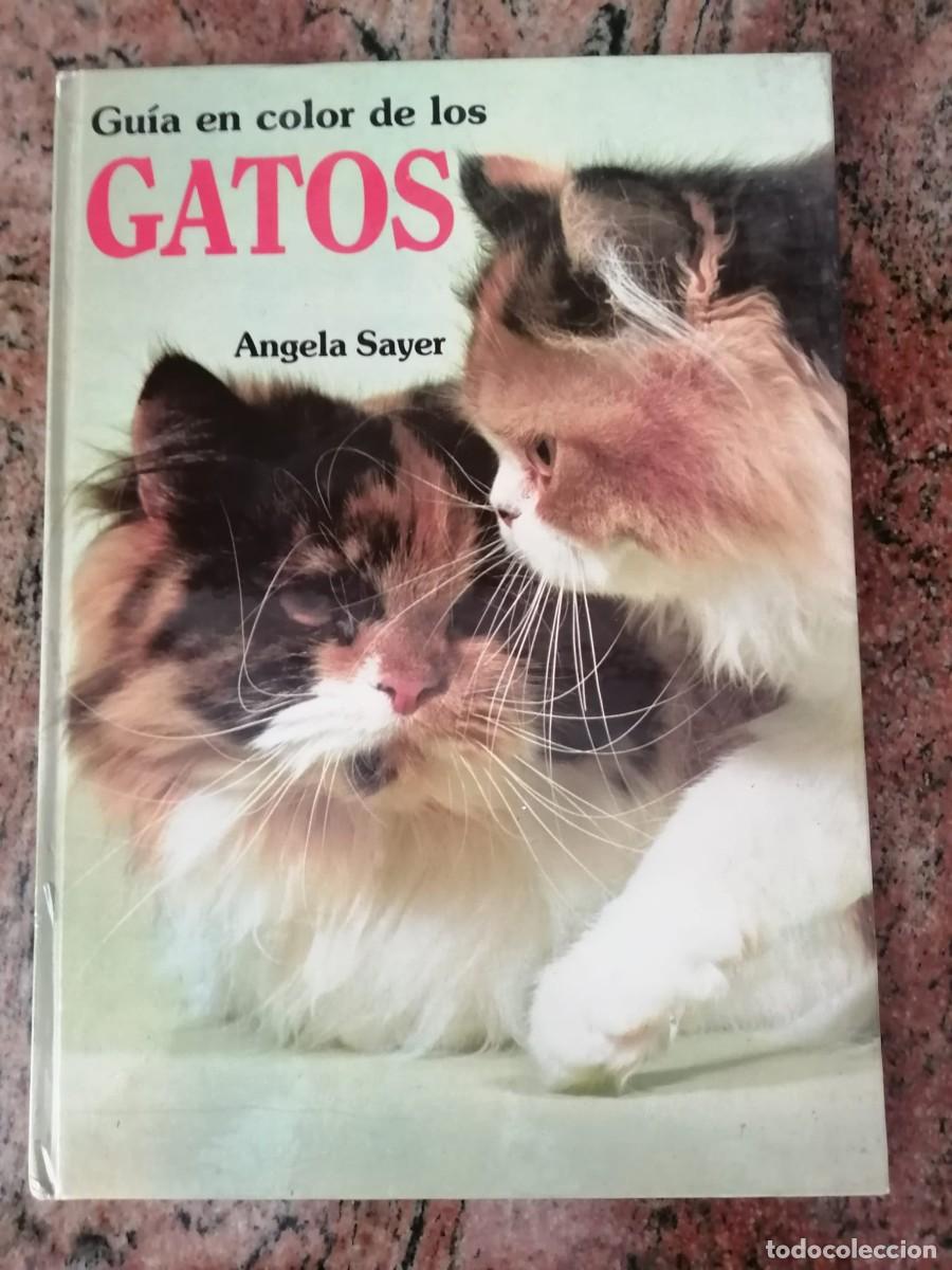 Libros de segunda mano: GUIA EN COLOR DE LOS GATOS (ANGELA SAYER)