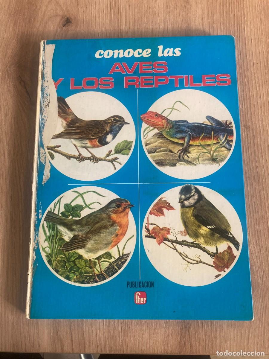 Libros de segunda mano: Conoce a las aves y los reptiles Editorial Fher