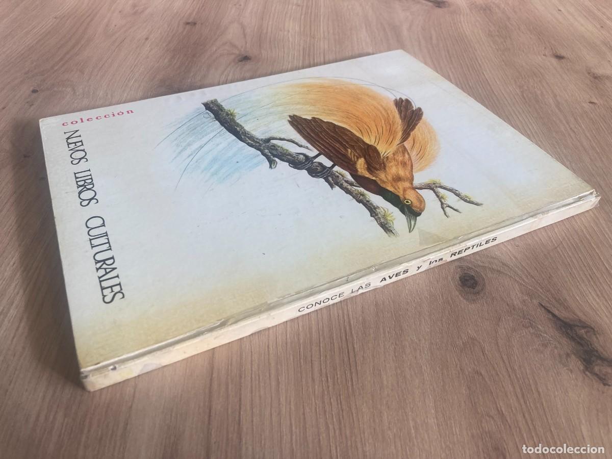 Libros de segunda mano: Conoce a las aves y los reptiles Editorial Fher - Foto 3