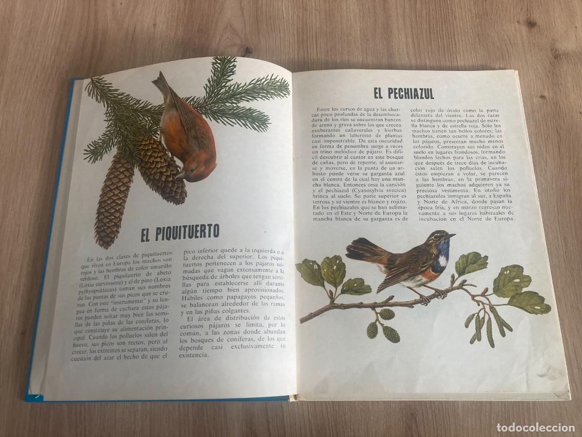 Libros de segunda mano: Conoce a las aves y los reptiles Editorial Fher - Foto 5