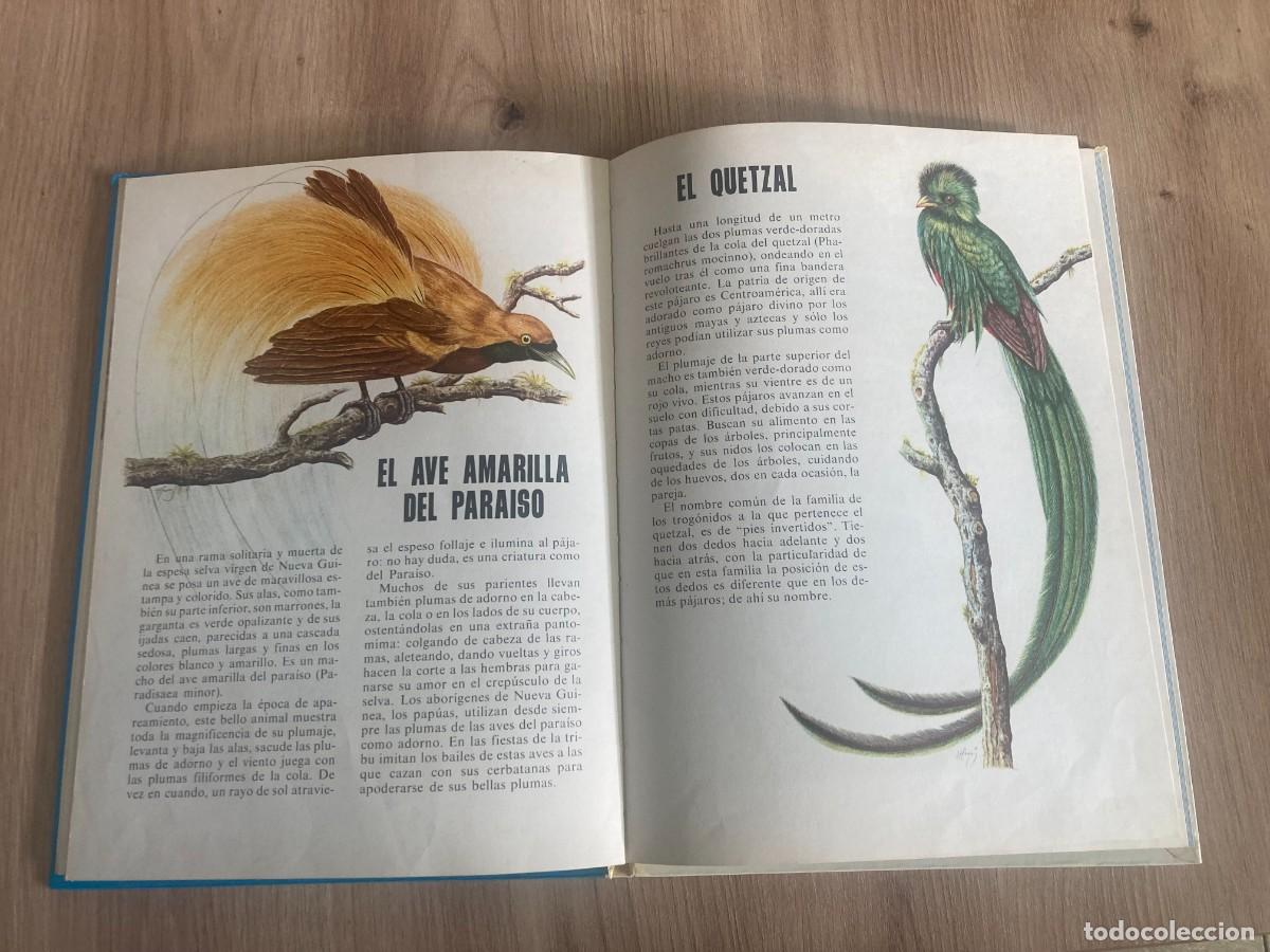 Libros de segunda mano: Conoce a las aves y los reptiles Editorial Fher - Foto 6