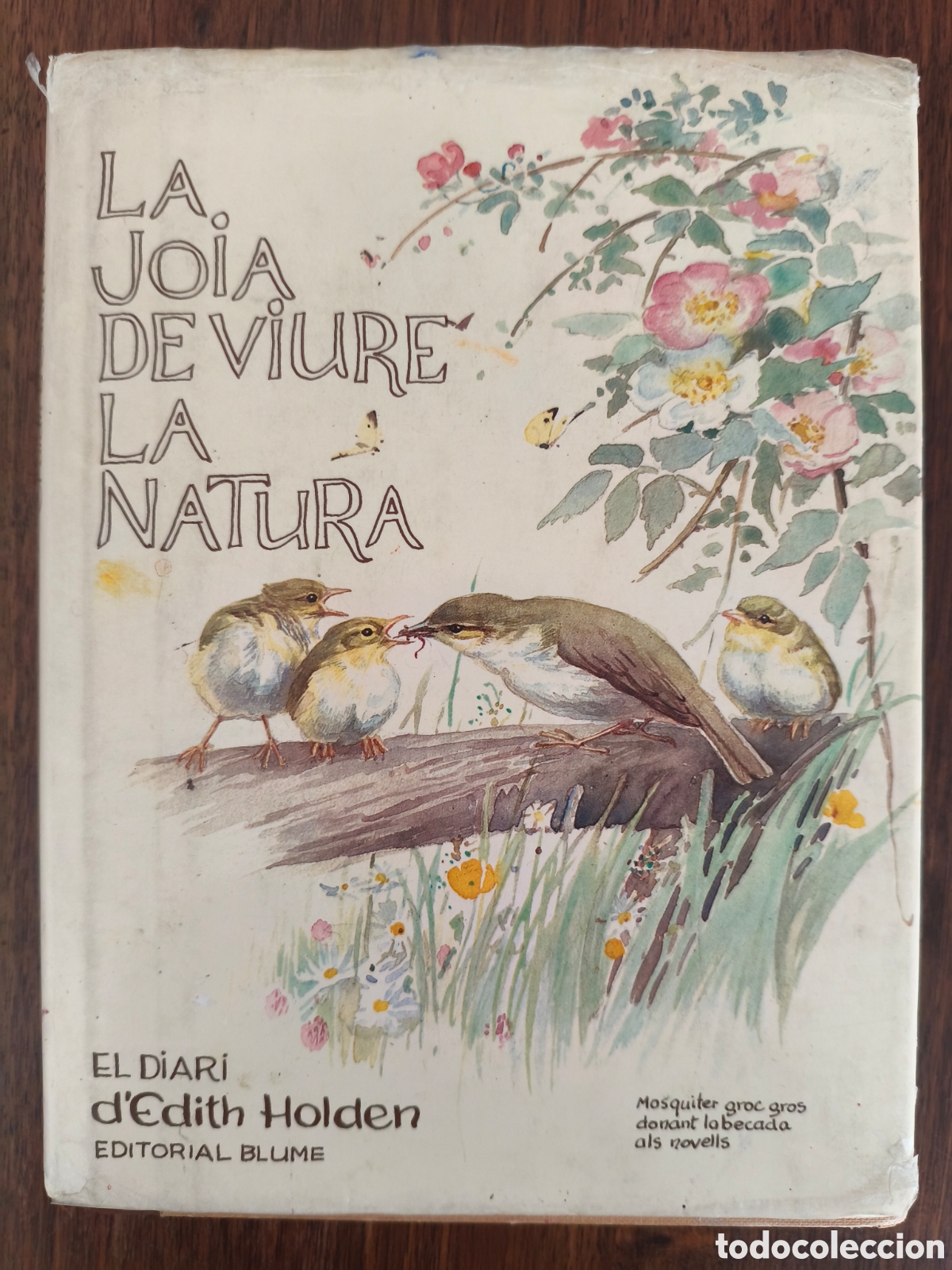 Libros de segunda mano: LA JOIA DE VIURE A LA NATURA EDITH HOLDEN EL DIARI D'EDITH EDITORIAL BLUME 1980