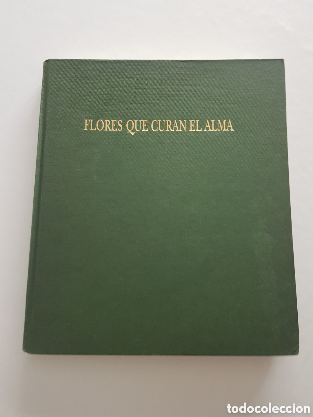 Libros de segunda mano: FLORES QUE CURAN EL ALMA. METCHTHILD SCHEFFER WOLF-DIETER STORL. UNA NUEVA VISION DE TERAPIA FLORAL.