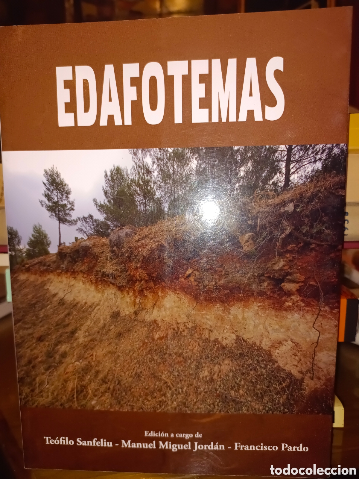 Libros de segunda mano: EDAFOTEMAS por Te&oacute;filo San Feliu