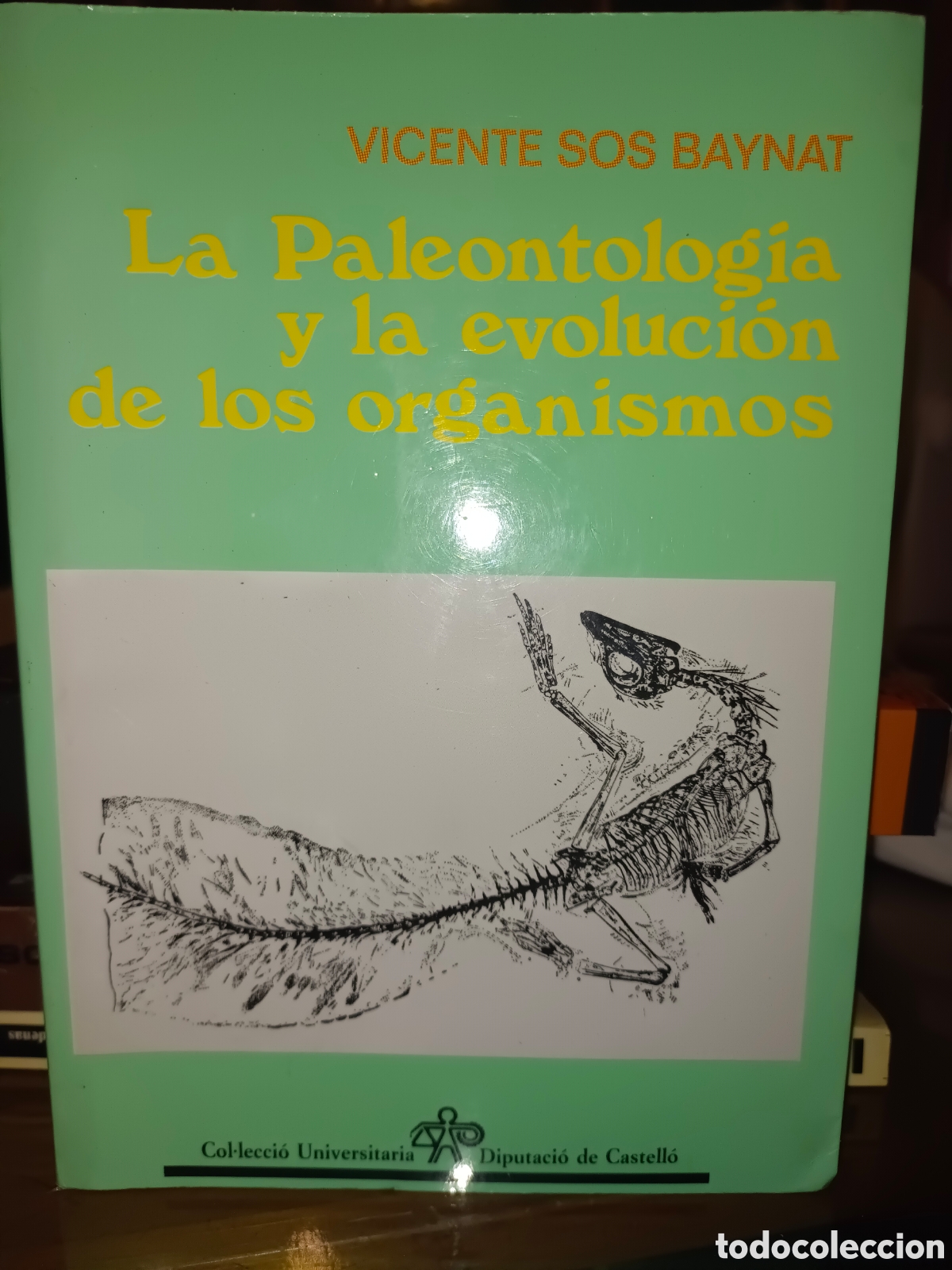 Libros de segunda mano: La Paleontolog&iacute;a y la evoluci&oacute;n de los organismos