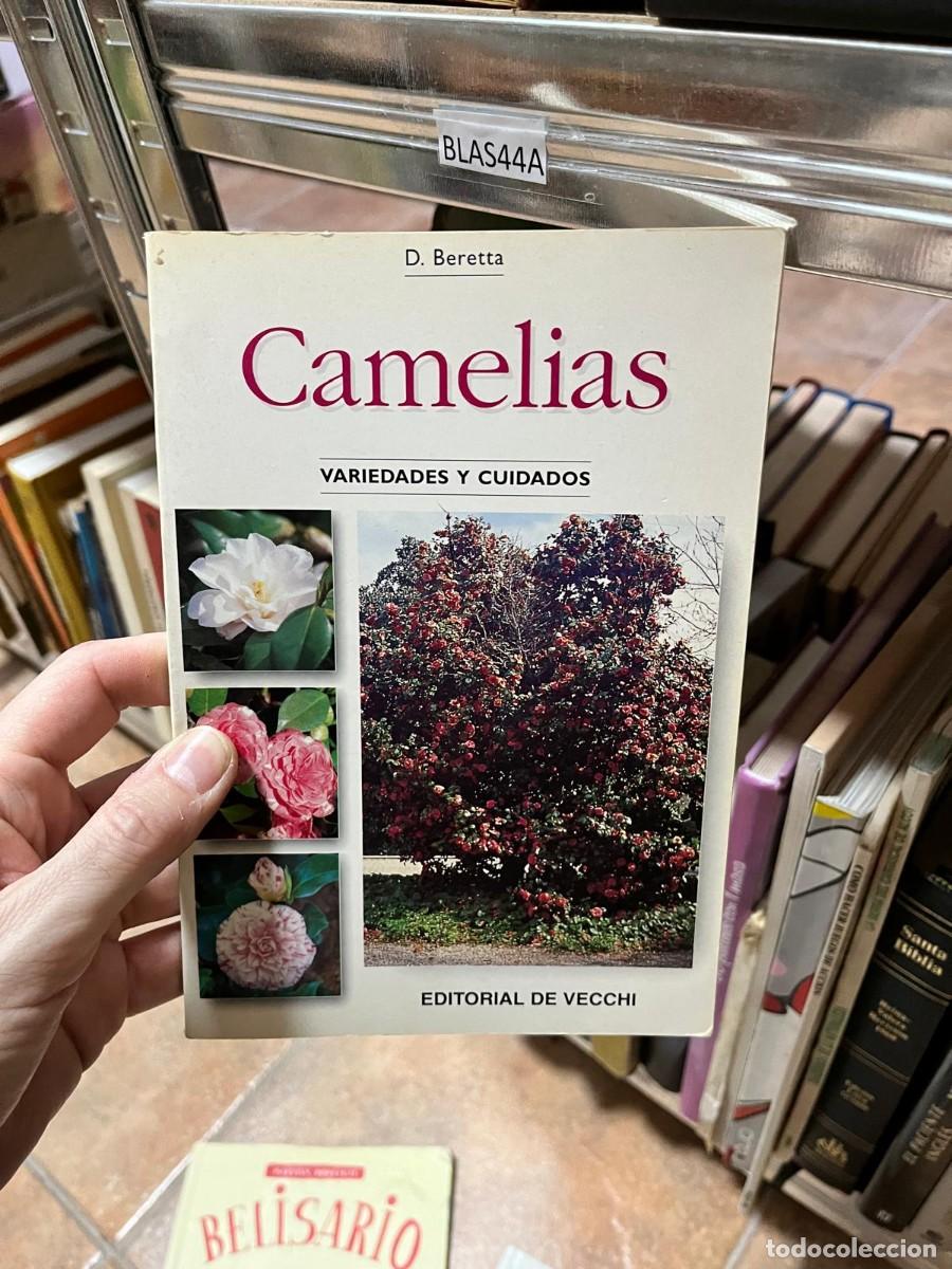 Libros de segunda mano: BLAS44A Camelias. Variedades y cuidados &mdash; D. Beretta &mdash; Editorial De Vecchi.